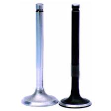 Global Automobile Engine Valve Market