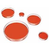 Cell Culture Dishes Market