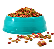 Grain Free Pet Food market