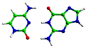 Guanine Market