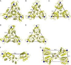 Global Oligomeric Mannose Market