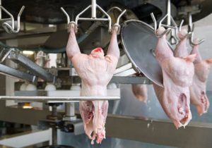 Global Poultry Meat Processing Equipment Market