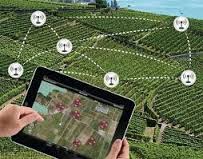 Agricultural Wireless Sensors Market