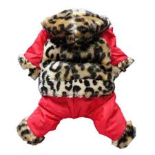 Global Animal Clothing Market