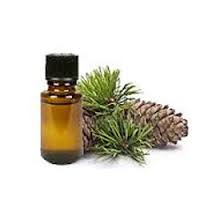 Global Cassia Oil Market- NK Proteins, Taj Agro, Hengshui Qianjin, Jilin Shengji