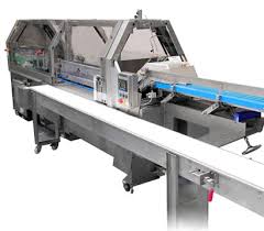 Global End Load Cartoners Market