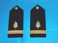 Global Medical Shoulder Boards Market