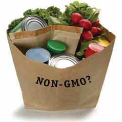 Non-GMO Foods Market