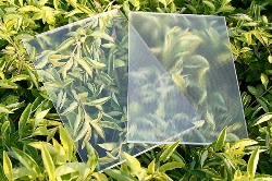 Ultra Clear Patterned Glass Market