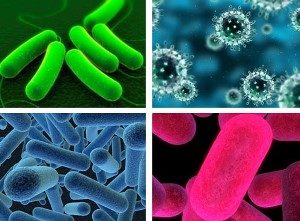 Antibacterial Coating Market