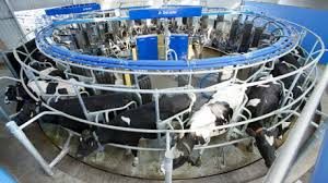 Automatic Milking Equipment Market