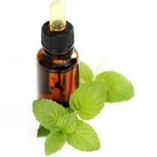 Global Basil Essential Oil Market