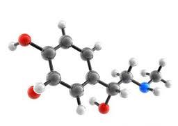 Epinephrine Market