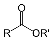 Global Esters Market