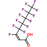 Global Fluorotelomer Market