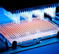 High-Throughput Screening Market