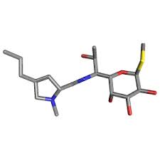 Lincomycin HCL Market