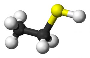 Methanethiol Market