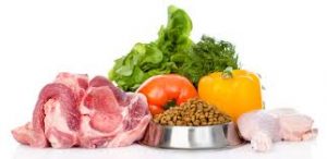 Pet Food Ingredients Market