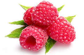 Raspberry Ketone Market