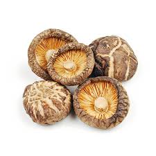 Global Shiitake Mushroom Market