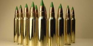 Small Caliber Hunting Ammunition Market