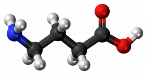 Aminobutyric Acid Market