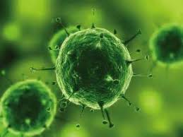 Antimicrobial Nanocoatings Market