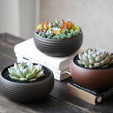 Ceramic Flower Pots and Planters Market