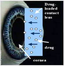 Global Nanostructured Drug Market