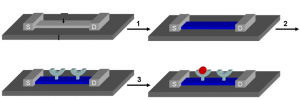 Silicon Nanowires (SiNWs) Market