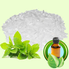 Menthol Crystals Market