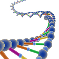 Nucleic Acid Purification Systems