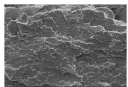 Pvoh-Cellulose Nanocomposite