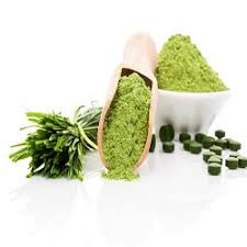 Wheat Grass Powder Market