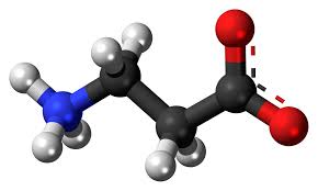 Beta-Alanine