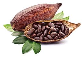 Cocoa Beans Market