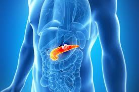 Drugs for Metastatic Pancreatic Cancer 
