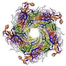 Protein Crystallization and Crystallography