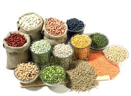 Vegetable Seed Market