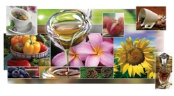 Flavors And Fragrances Market