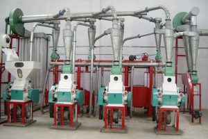 Magnetic Separator for Flour Milling