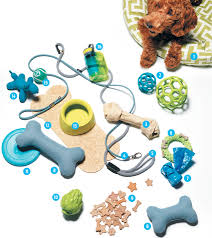 Pet Accessories 