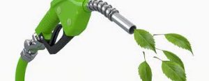 Renewable Fuel 