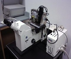 Atomic Force Microscope