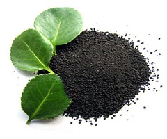 Biochar