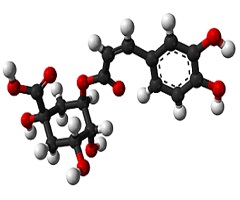 Chlorogenic Acid