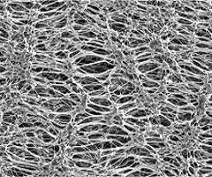 Expanded Polytetrafluoroethylene