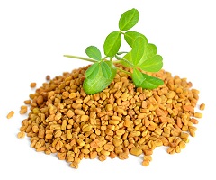 Fenugreek Market