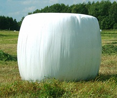 Silage Films